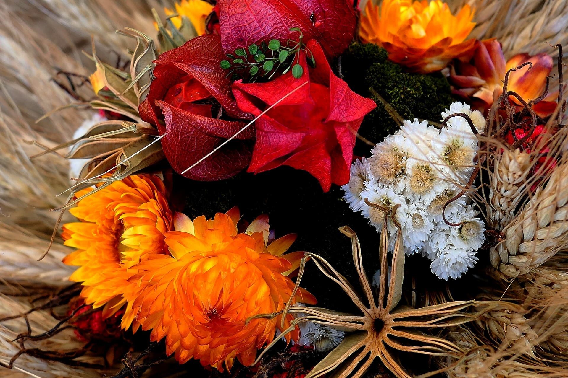 flower-g2c60214d8_1920