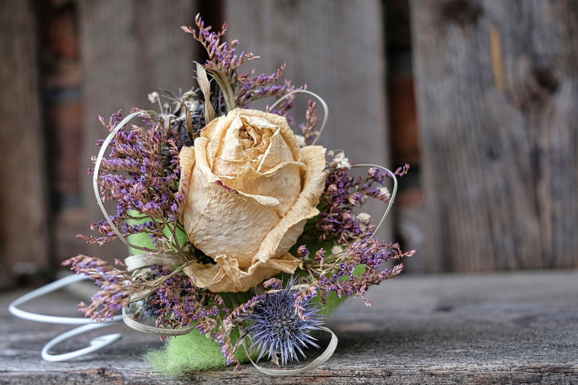 dry-flower-g5d0047a02_1920