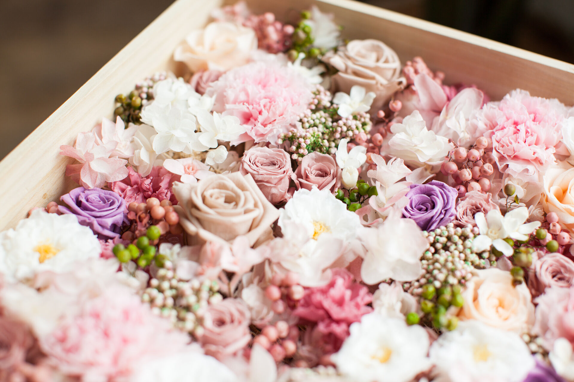 AdobeStock_224554881 (1)